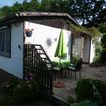 Ferienhaus Anne Thale Dış mekan fotoğraf